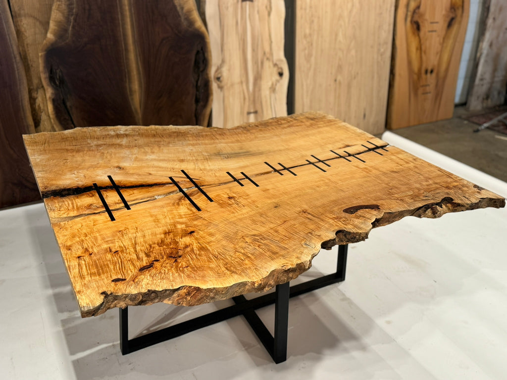 Figured Maple Burl Embellished with Macassar Ebony on Steel Base