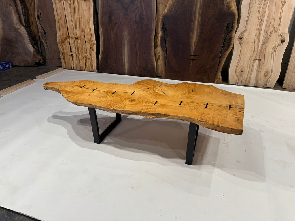 Figured Maple Embellished with Macassar Ebony on Steel base