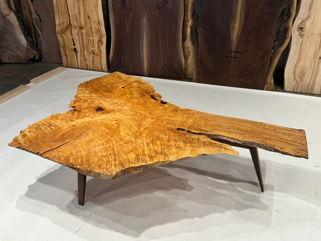Figured Maple Burl on Sculpted Black Walnut tri-leg base