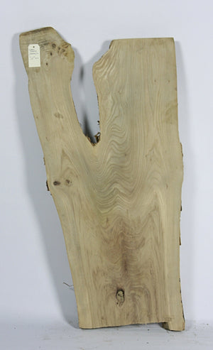 Live Edge Hardwood Slab: American Elm, Rough Sawn