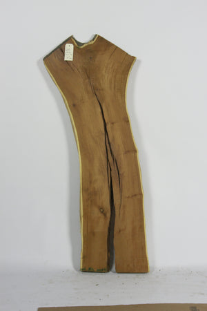 Live Edge Hardwood Slab: Osage Orange