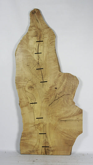 Live Edge Coffee Table: Norwegian Maple & Grand Piano Ebony Keys